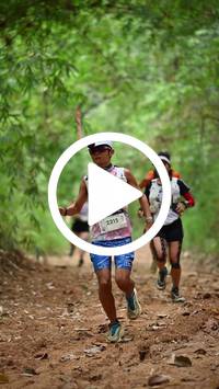 BIB:  <button type="button" onclick="openModal(26805259)" class="btn btn-primary btn-sm float-right" data-toggle="modal" data-target=".modal-high-quality">
                <i class="fa fa-download"></i> Download
                </button>